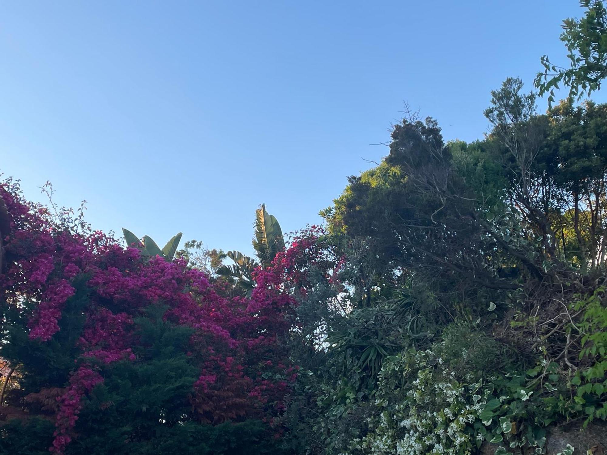 פורטיסיו Maison De Lou מראה חיצוני תמונה